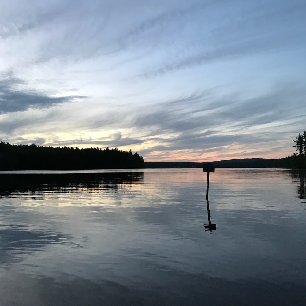 Meet your Posher, Jenny